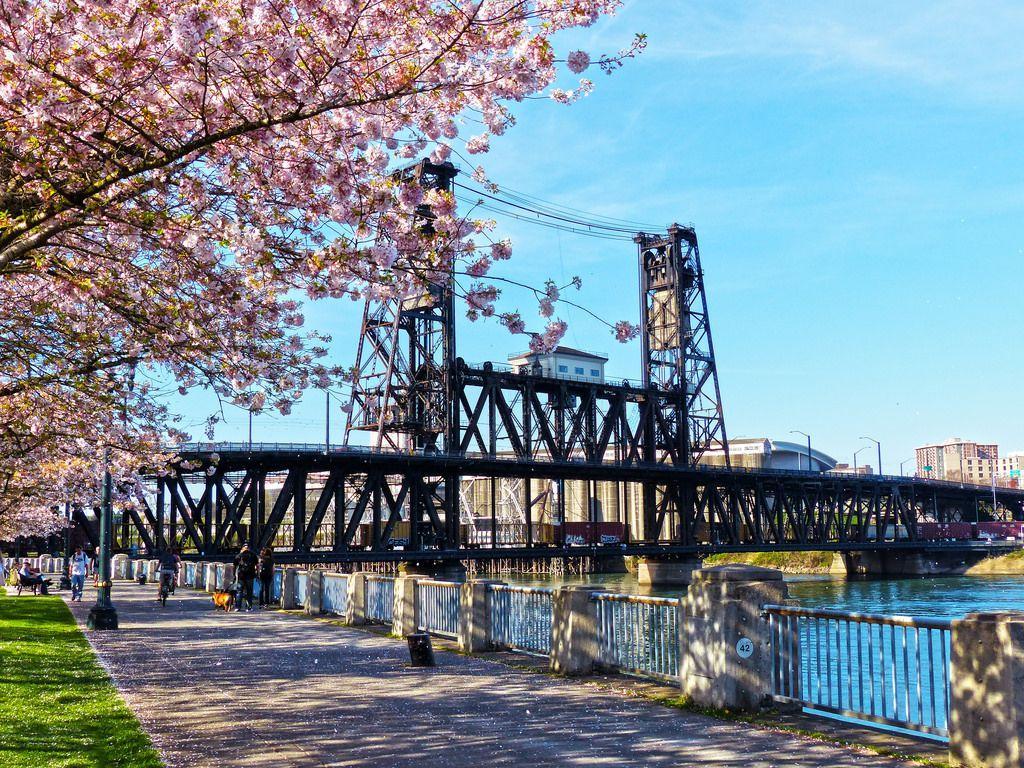 Steel Bridge Portland