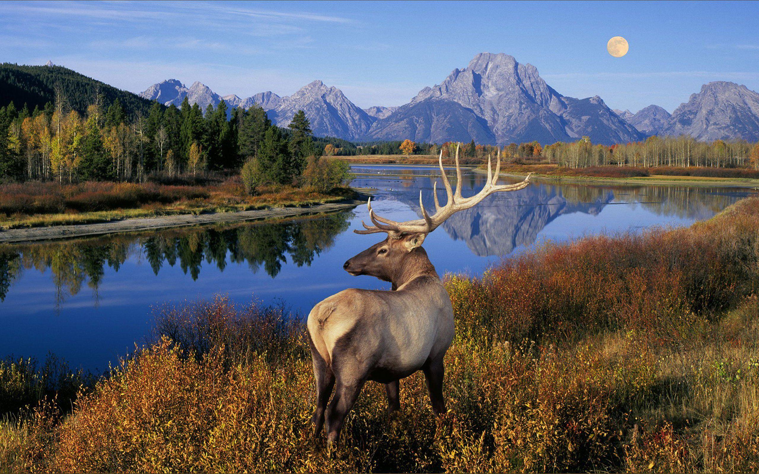 Grand Teton National Park Wallpapers 794084