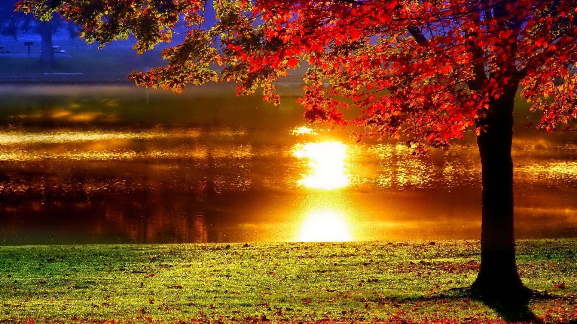 LAKESIDE SUNSET REFLECTION Desktop Backgrounds