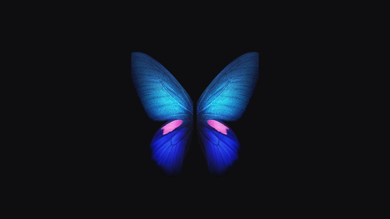 Wallpapers Samsung Galaxy Fold, Blue, Butterfly, Stock, 4K, Creative