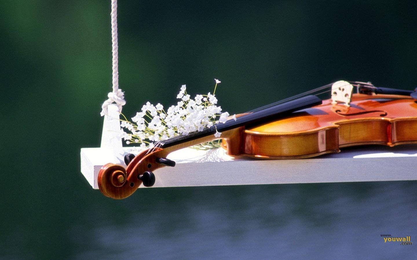 Violin Wallpapers Desktop HD Wallpapers Pictures