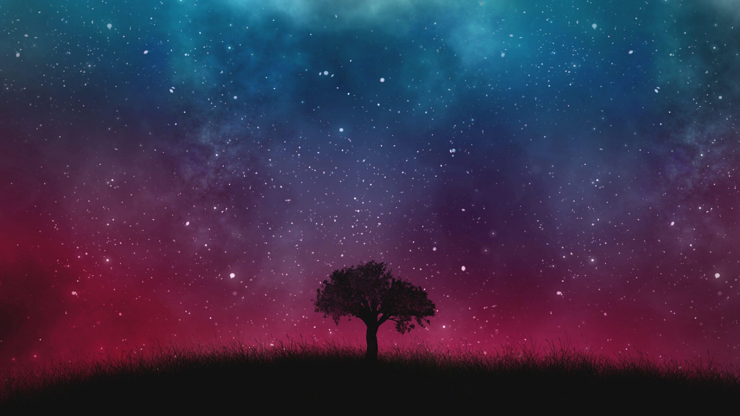 A Tree and the Universe widescreen wallpapers