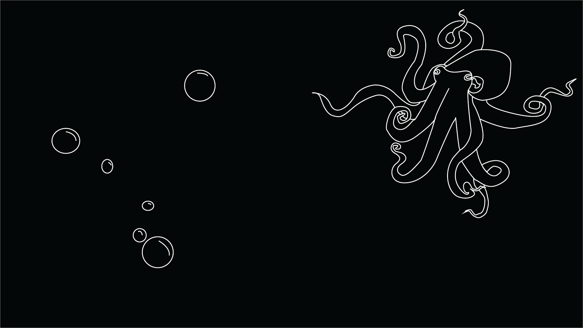 Octopus Wallpapers 16