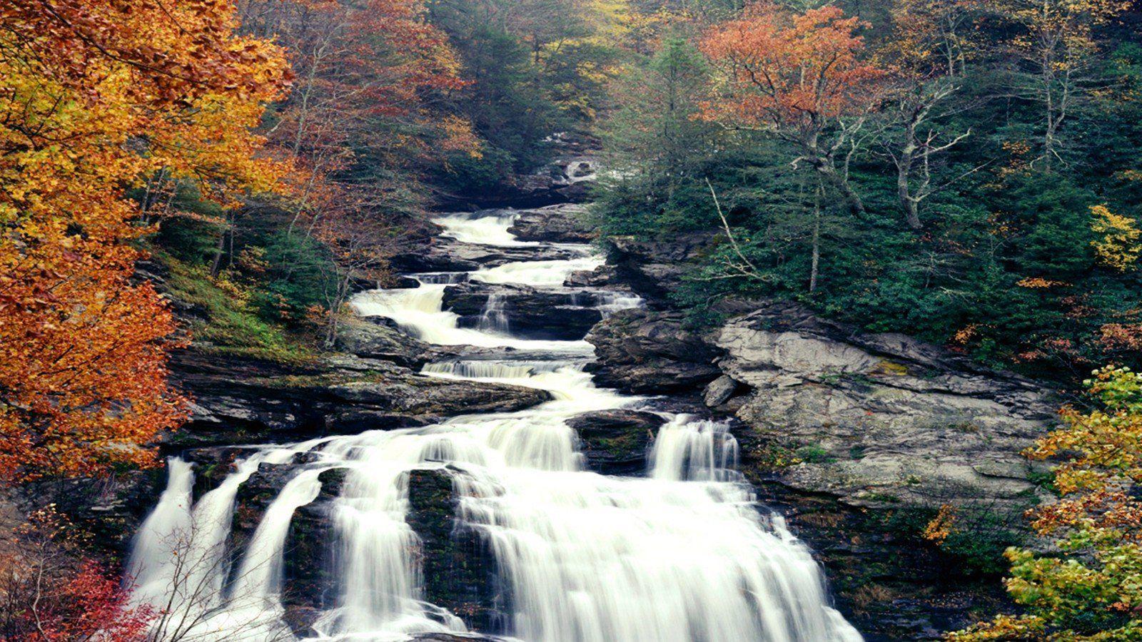 Green water landscapes nature trees autumn red white yellow