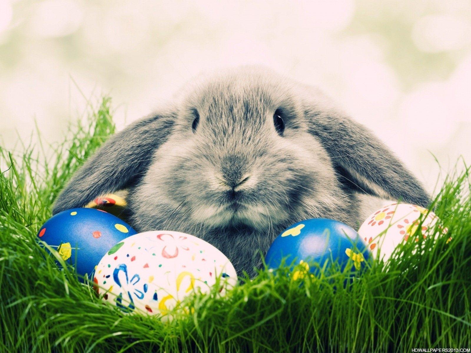 Free Hd Easter Wallpapers Wallpapers