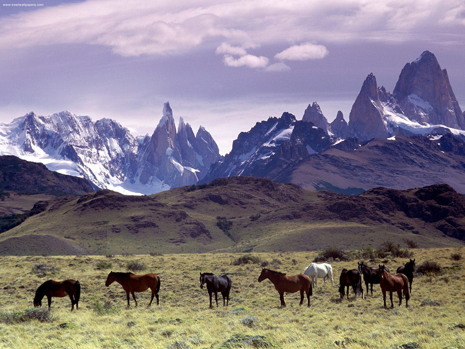 Patagonia