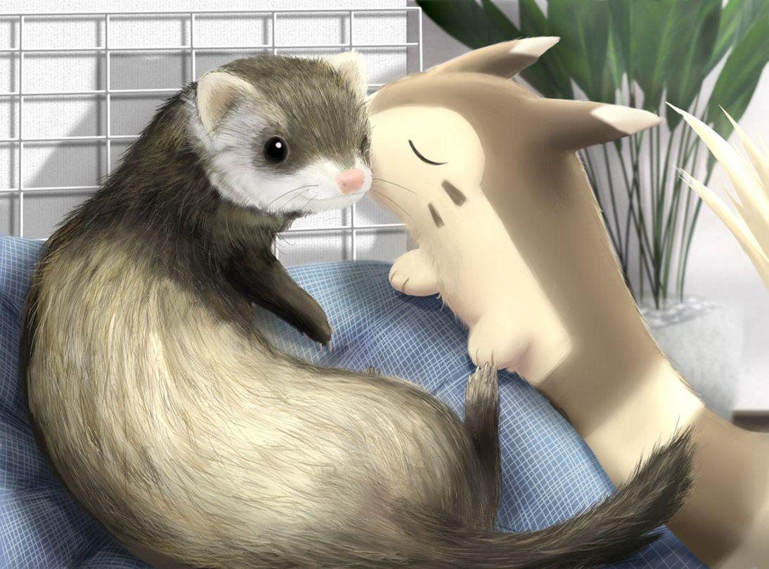 Furret