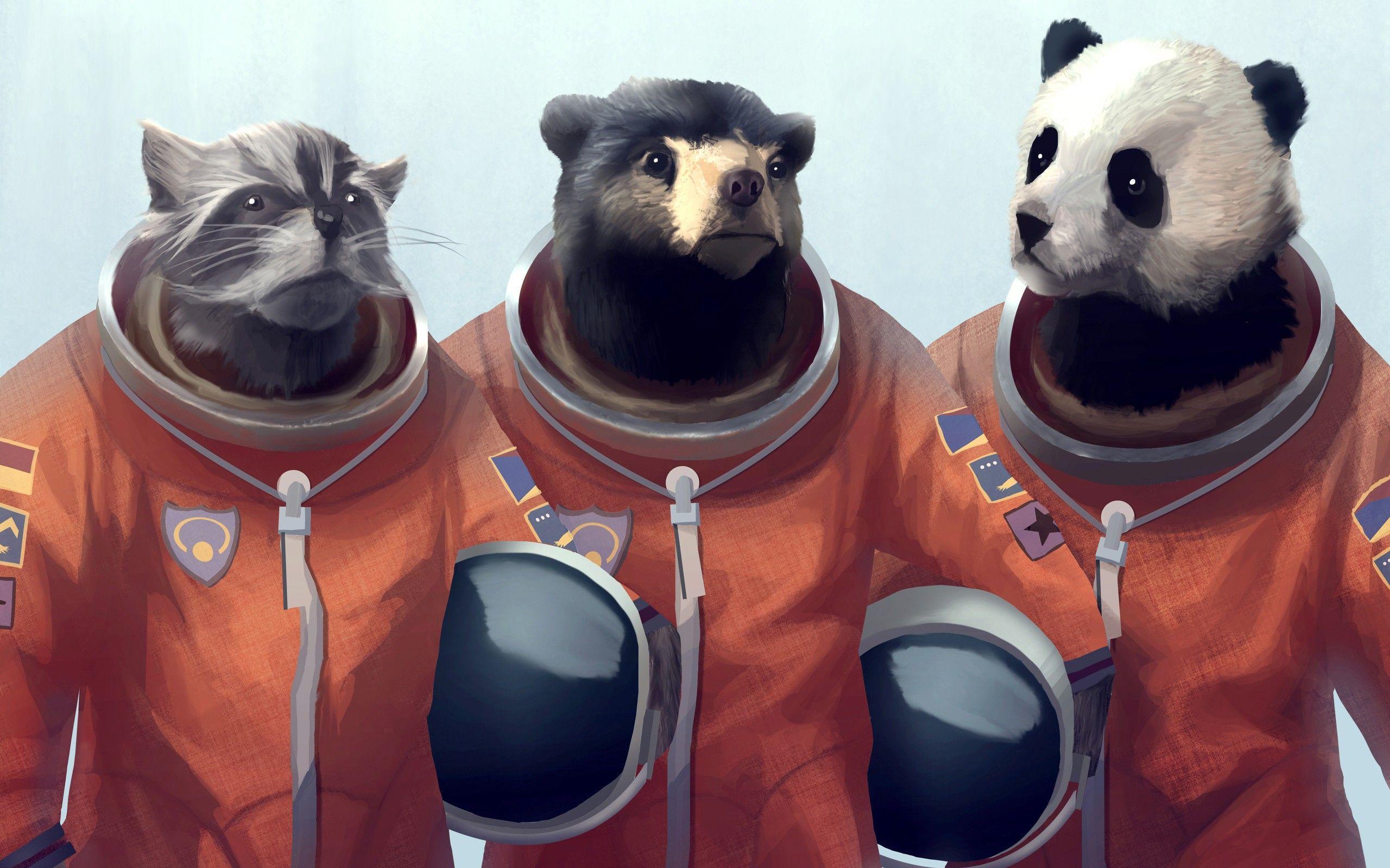 Animals Artwork Bears Cosmonaut Furry Panda Raccoons Wallpapers