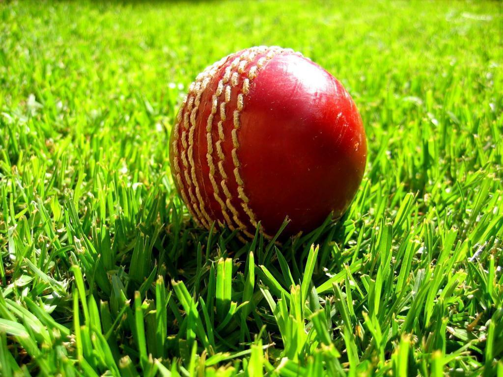 Cricket Wallpapers