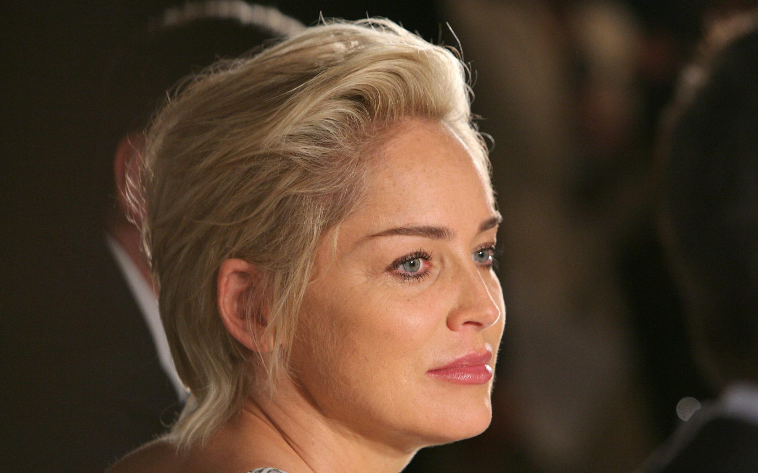 Sharon Stone Wallpapers HD Download