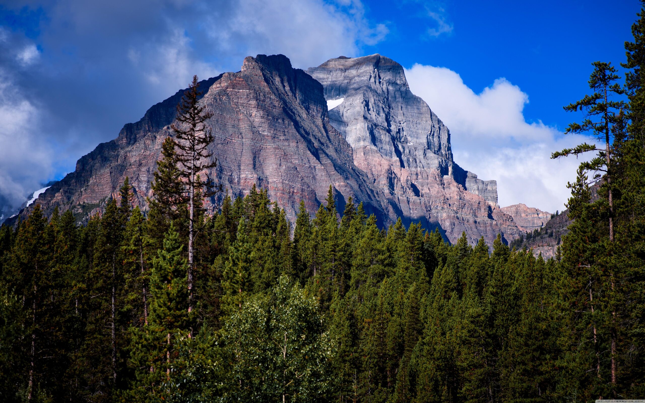 Canadian Rockies Mountains ❤ 4K HD Desktop Wallpapers for 4K Ultra