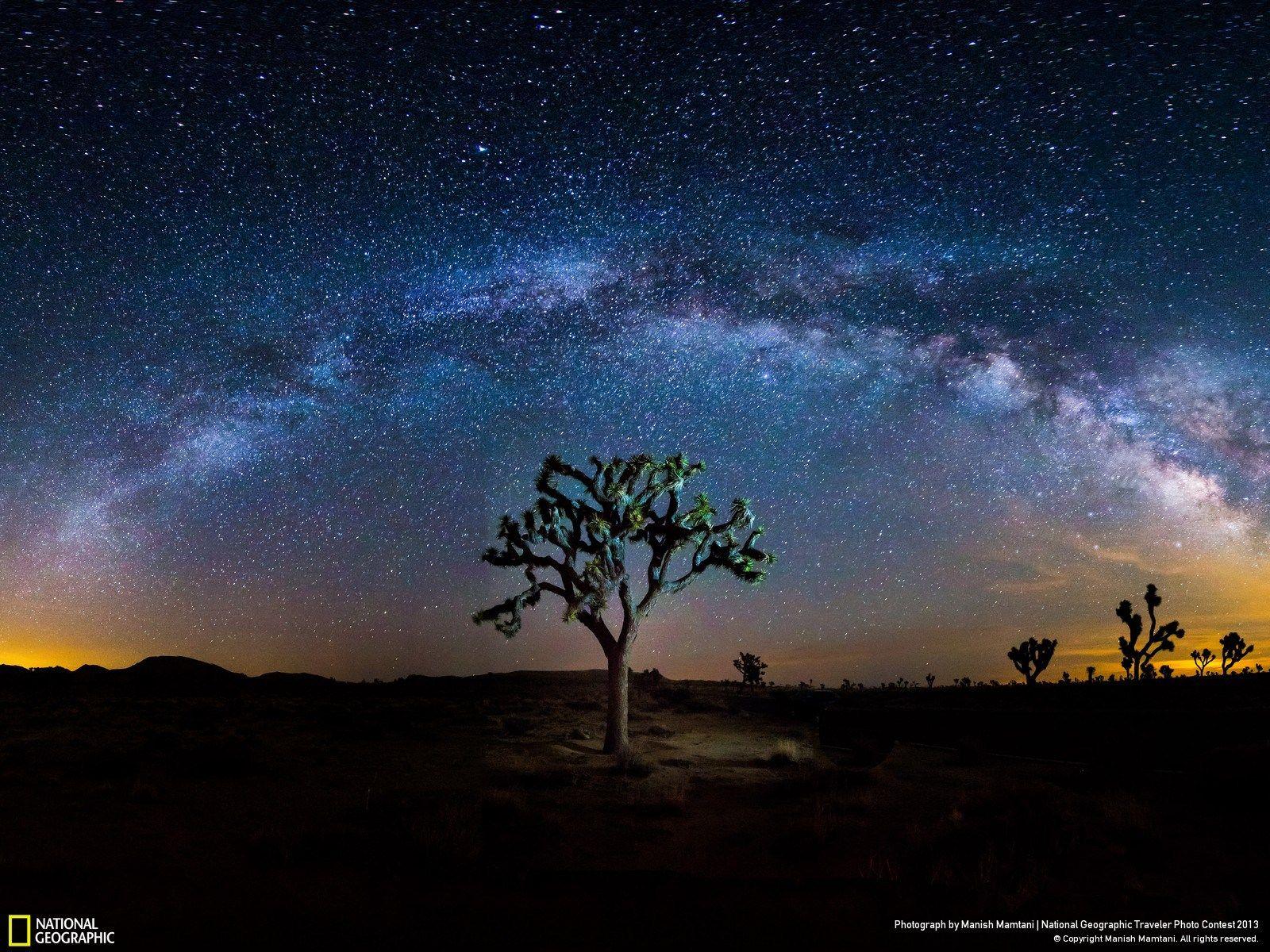 Joshua Tree: 28 Stunning Photos From America’s Most Buzzed About