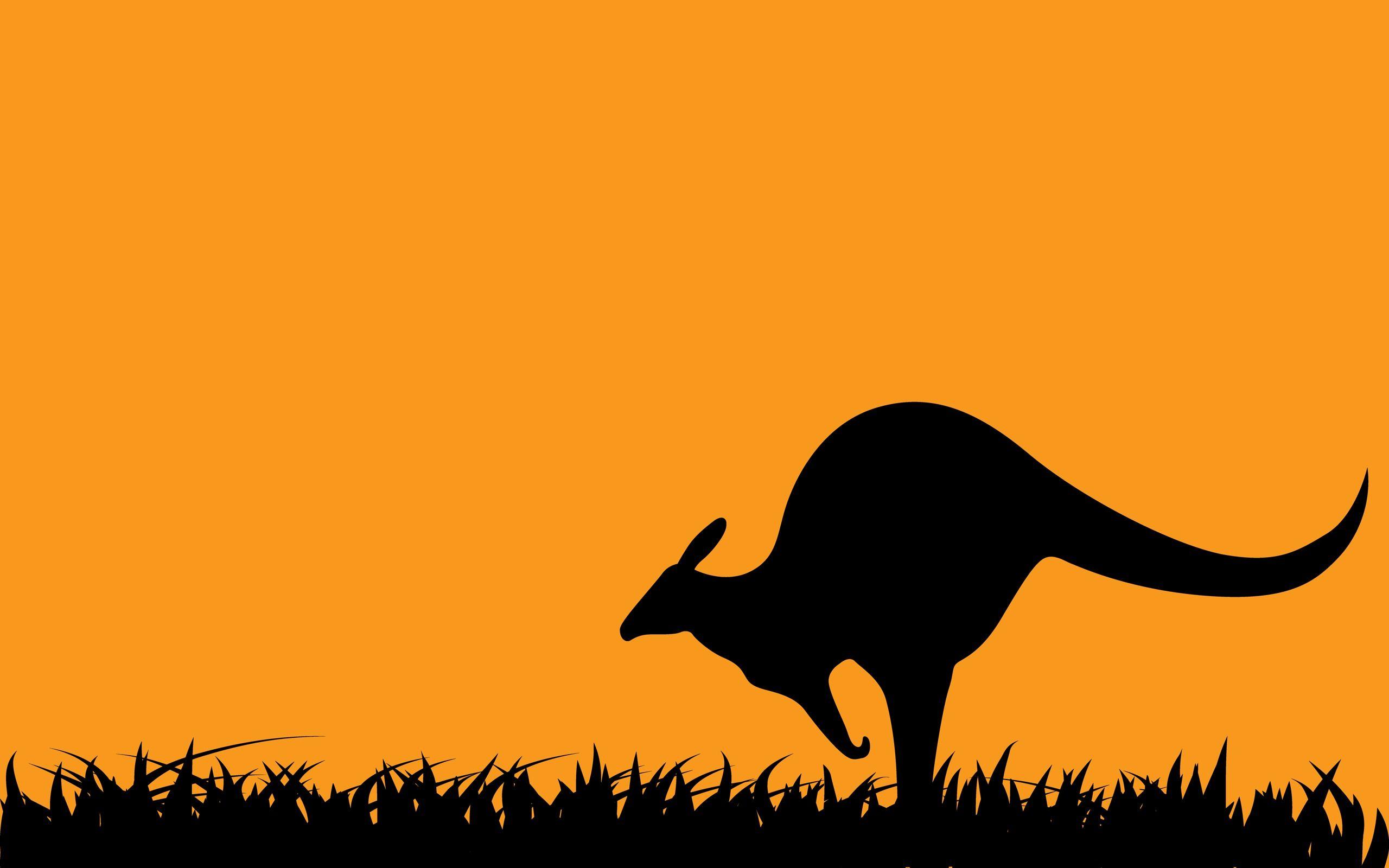 Art Kangaroo Wallpapers