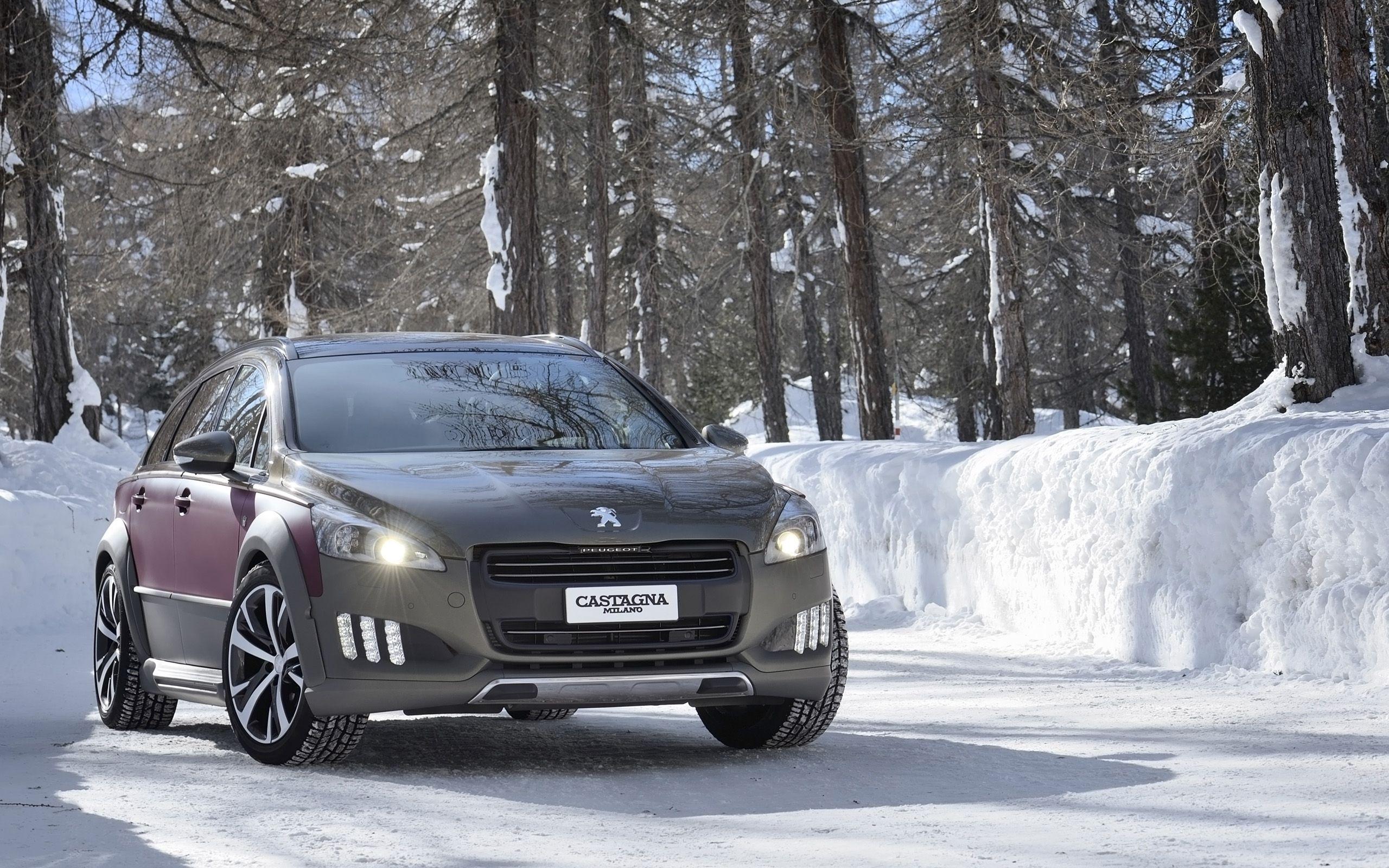 2014 Castagna Peugeot 508 RXH Wallpapers