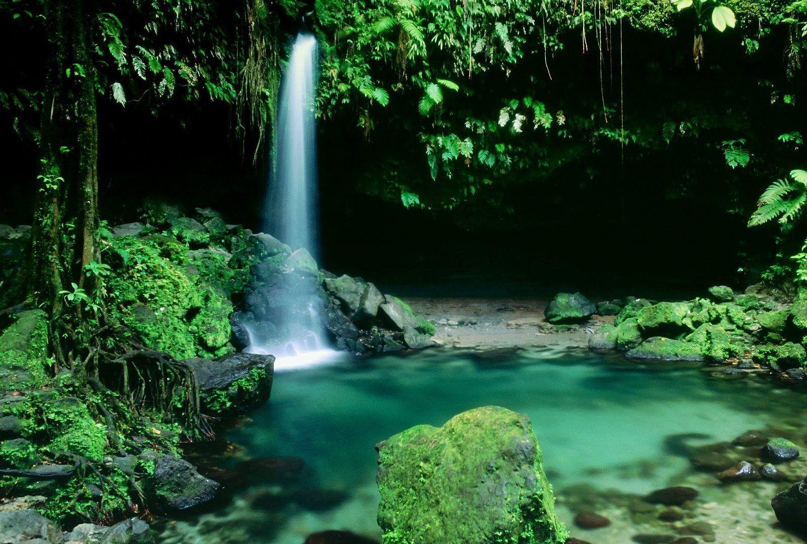 Beautiful Waterfall Greenery Serene Dominica Wallpapers Hd 1080p