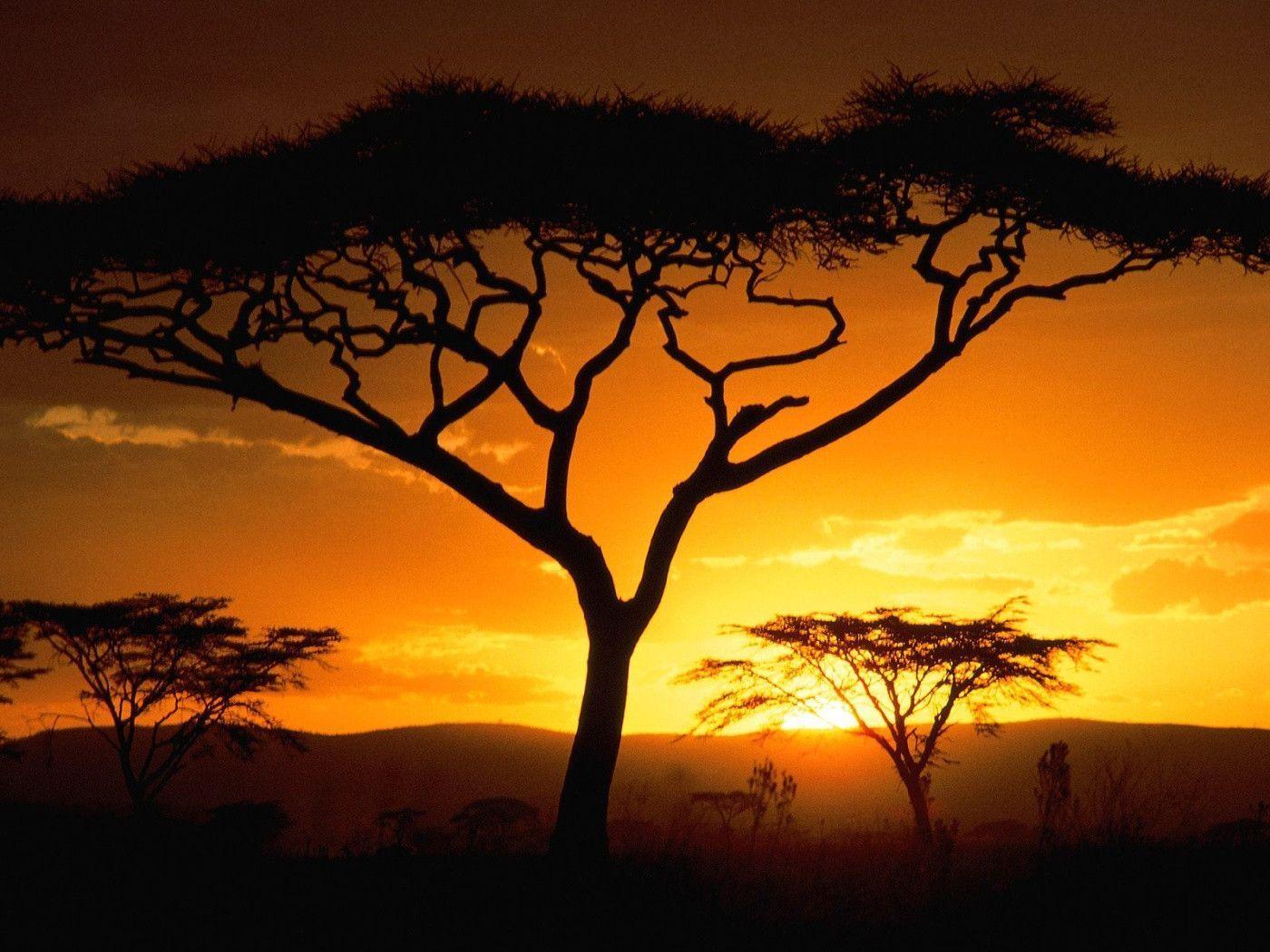 Tanzanian Sunset, Africa desktop wallpapers
