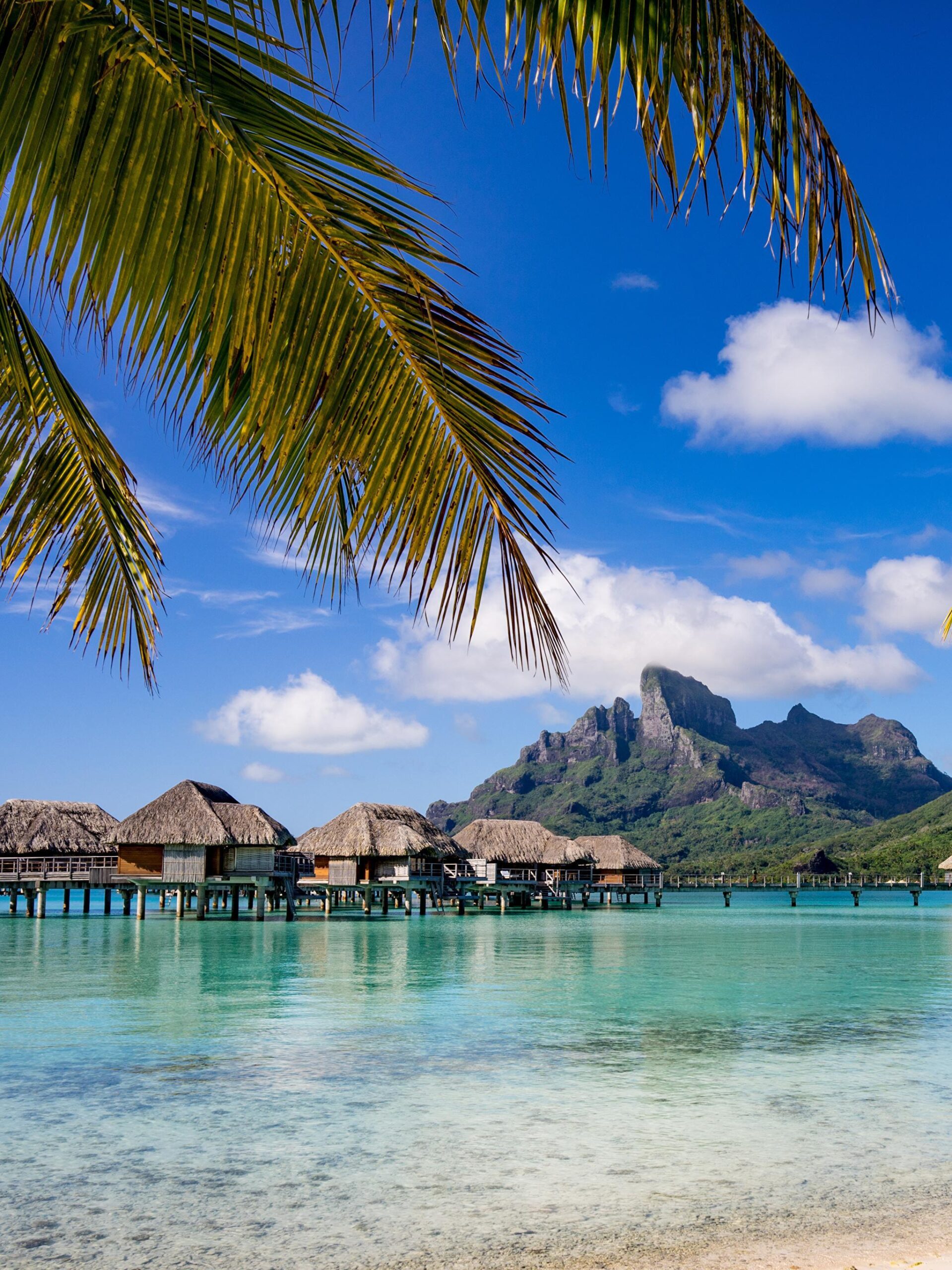 Wallpapers Bora Bora French Polynesia Bungalow Sea Nature