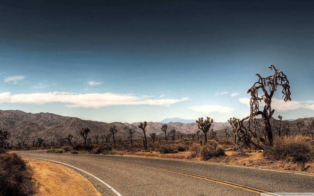 Joshua Tree National Park Camping