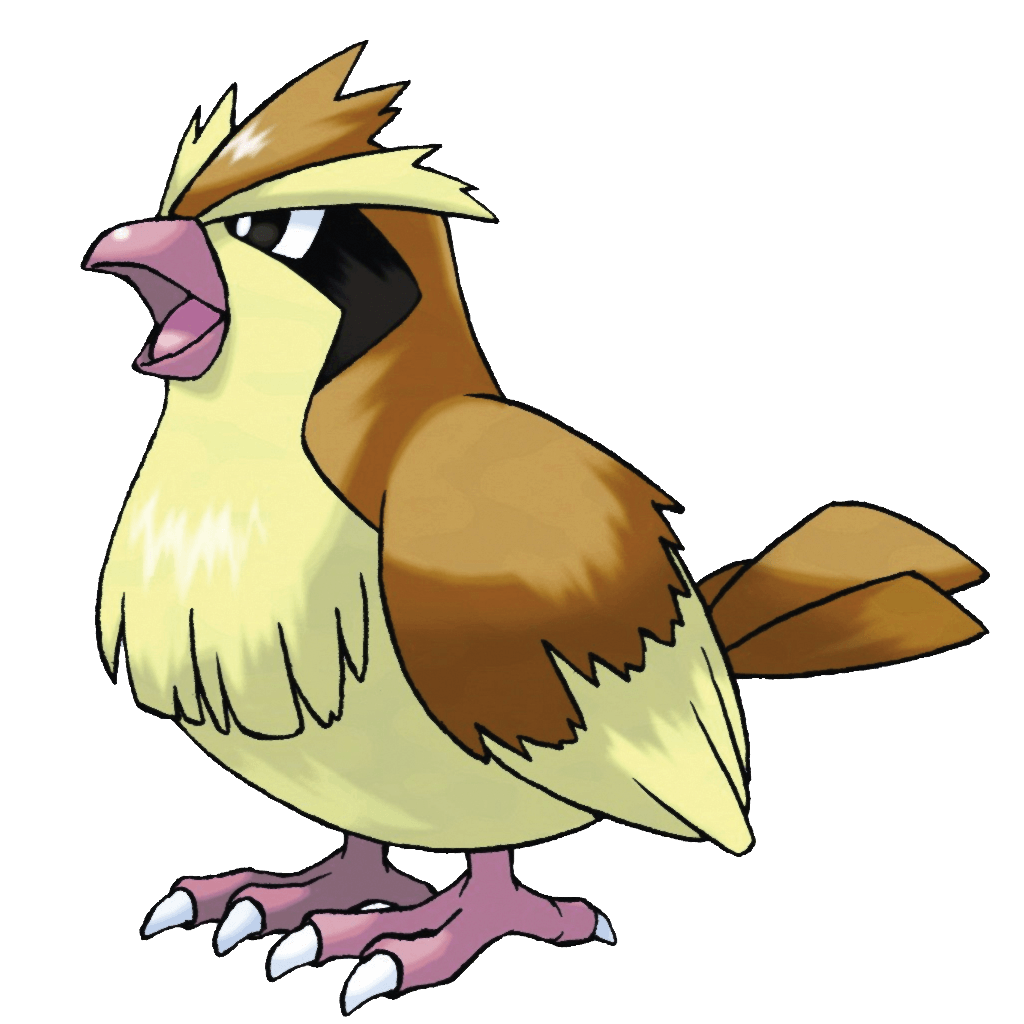 Pidgey