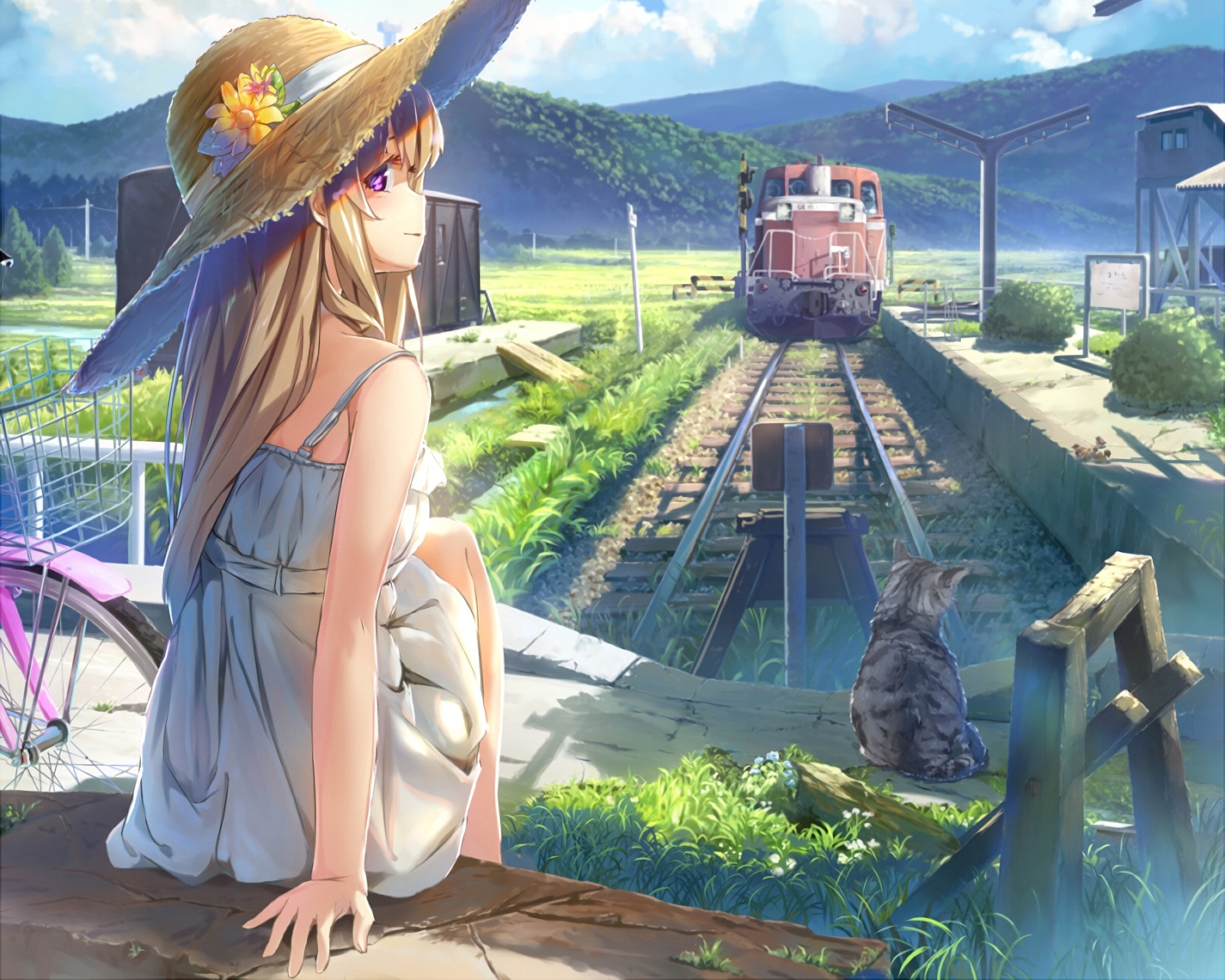 Download Anime Girl, Summer Dress, Strawhat, Cat, Train