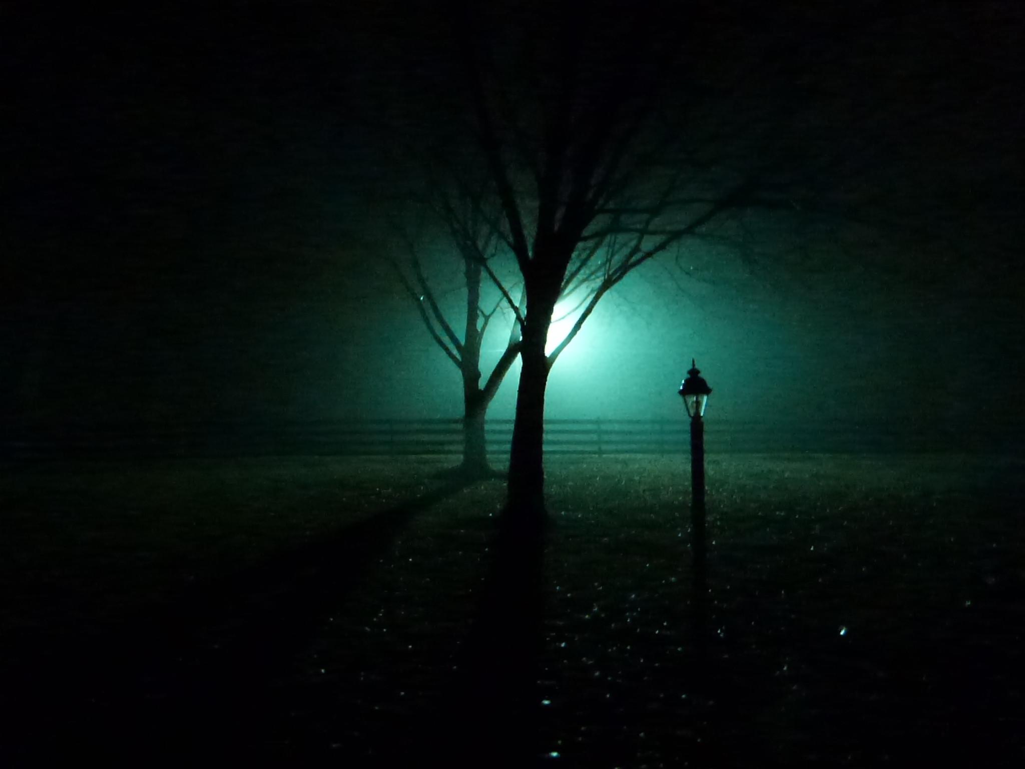 Foggy Night [] : wallpapers