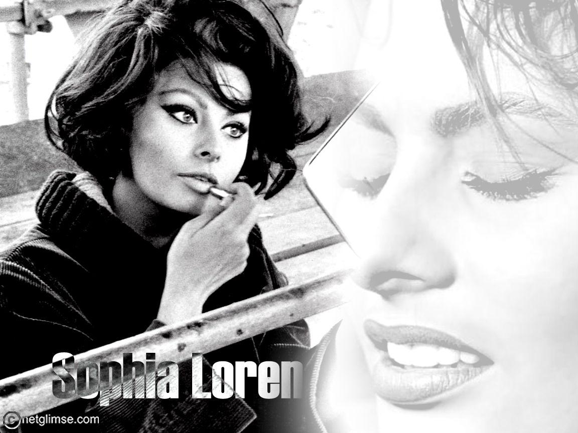 Sophia Loren wallpapers