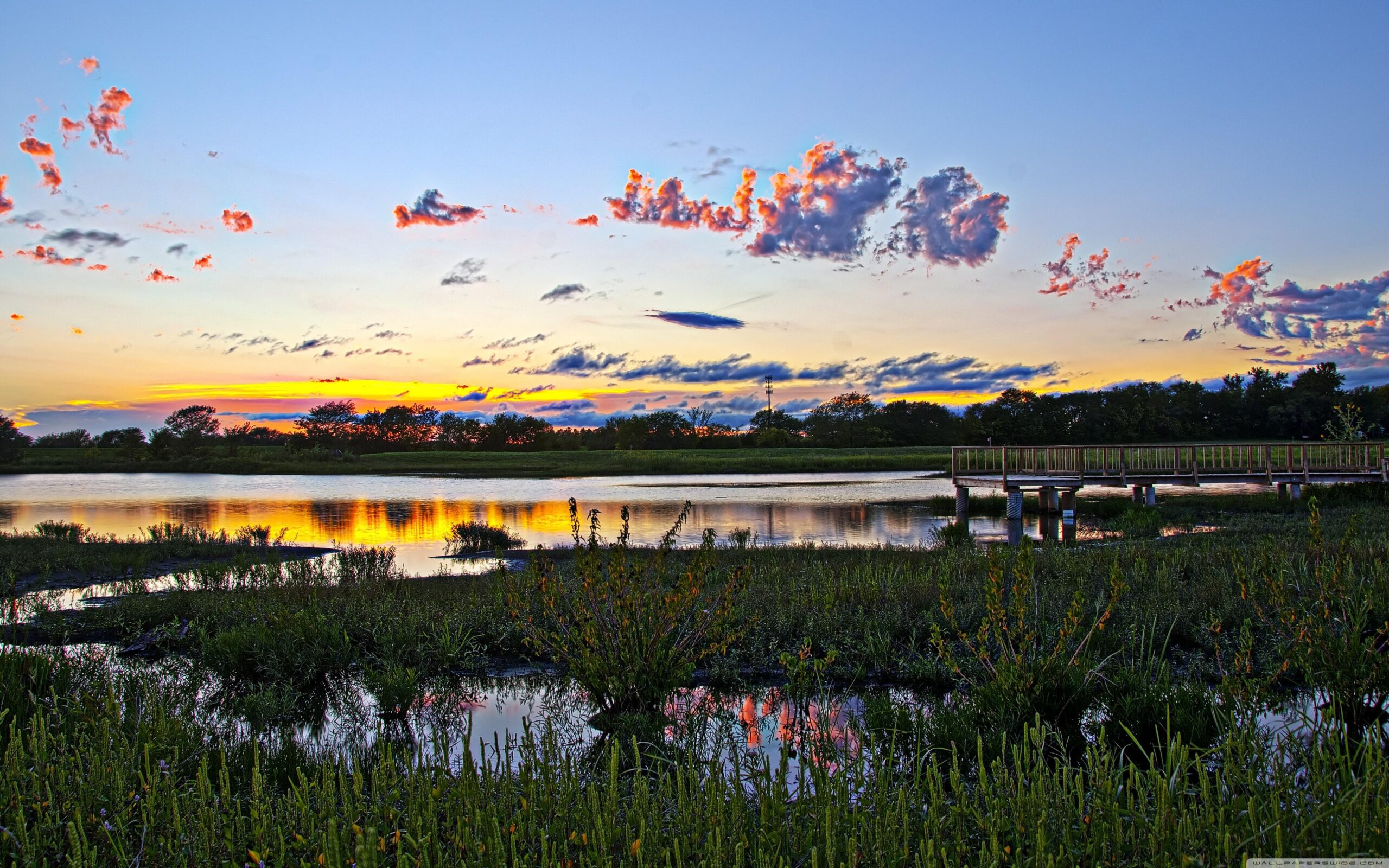 Wetlands, Lawrence, Kansas ❤ 4K HD Desktop Wallpapers for 4K Ultra