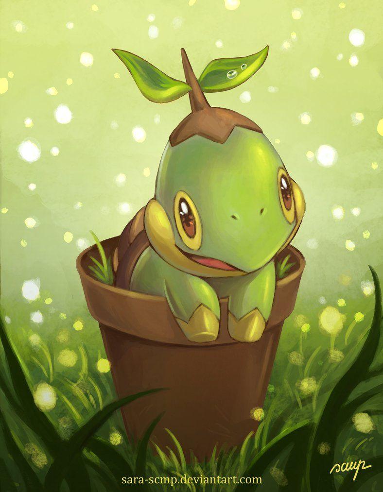 Turtwig in vase by sara