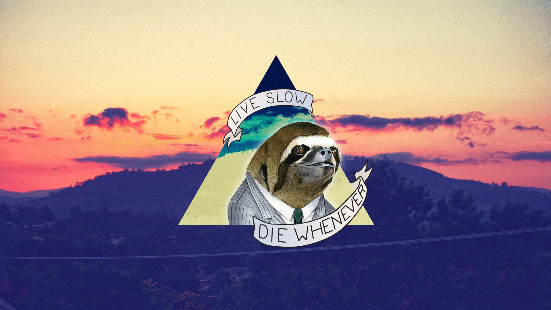 Sloth wallpapers is best wallpapers : sloths