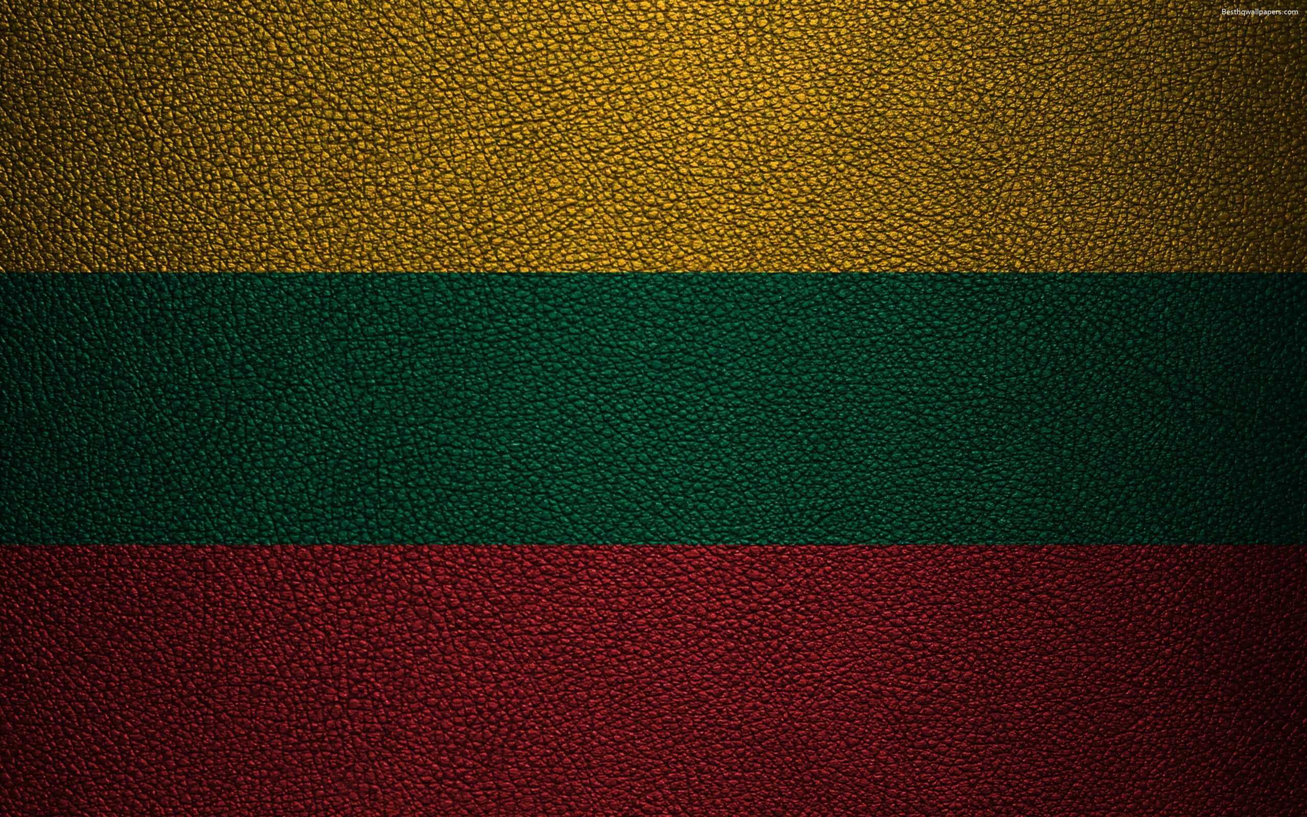 Download wallpapers Flag of Lithuania, 4k, leather texture