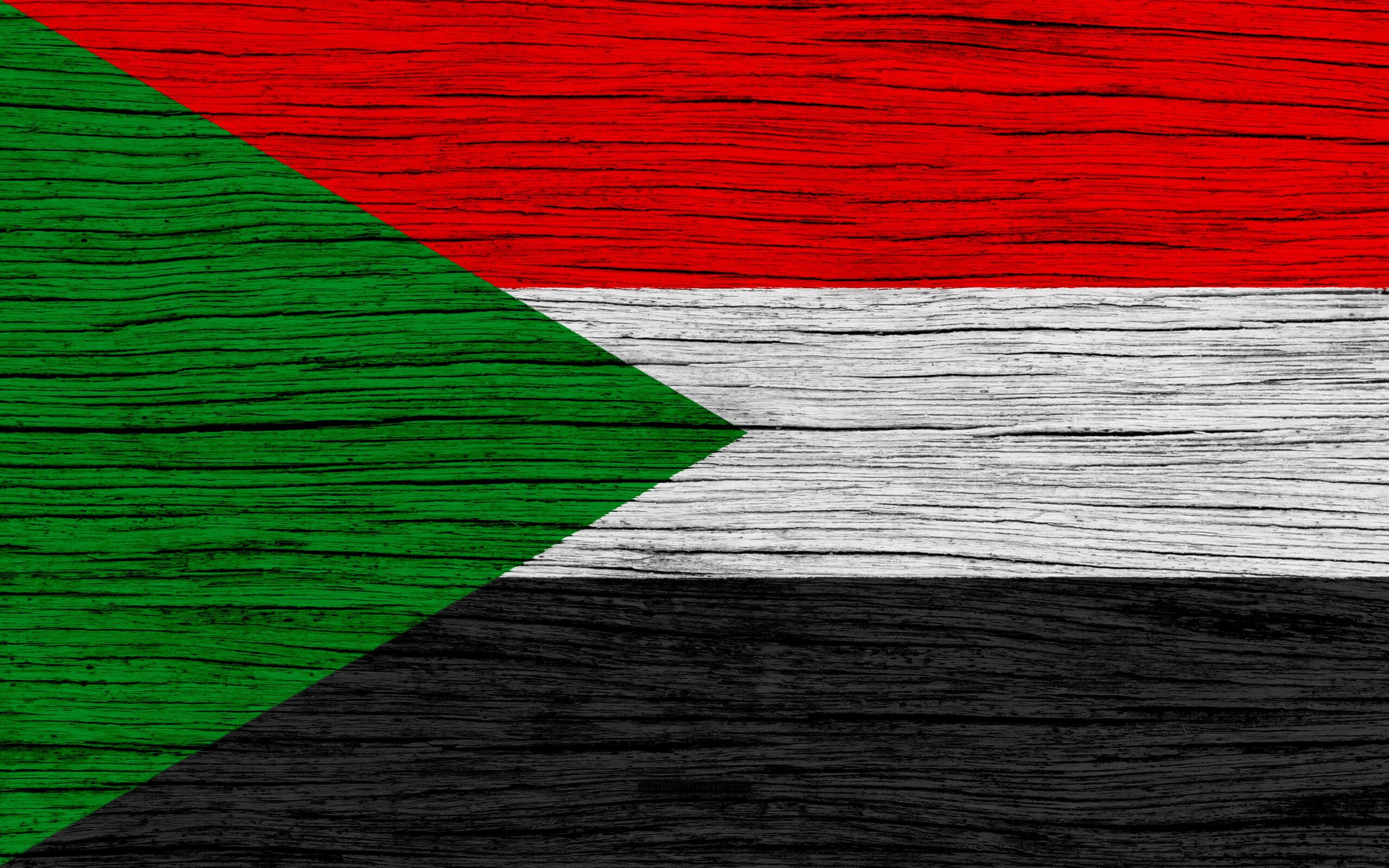 Download wallpapers Flag of Sudan, 4k, Africa, wooden texture