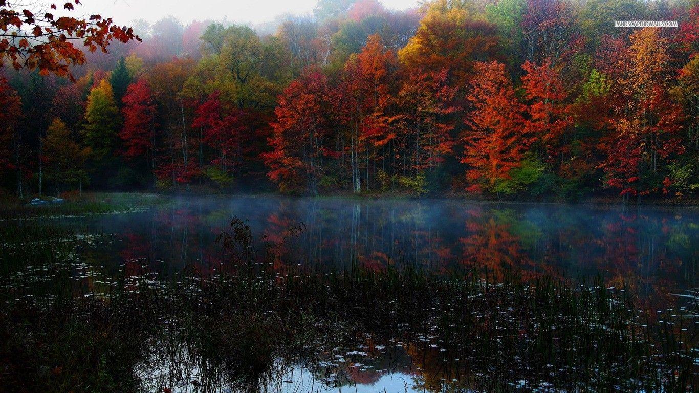 Forests: Chatfield Hollow Trails Colors Boulders Connecticut Autumn