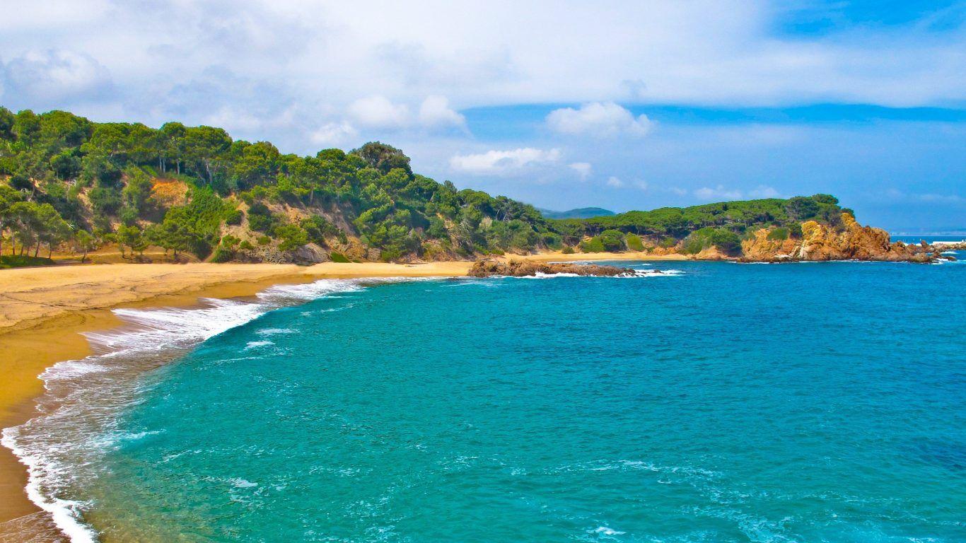 Beach: Paradise Dominica Beautiful Palms Ocean Side Beach East