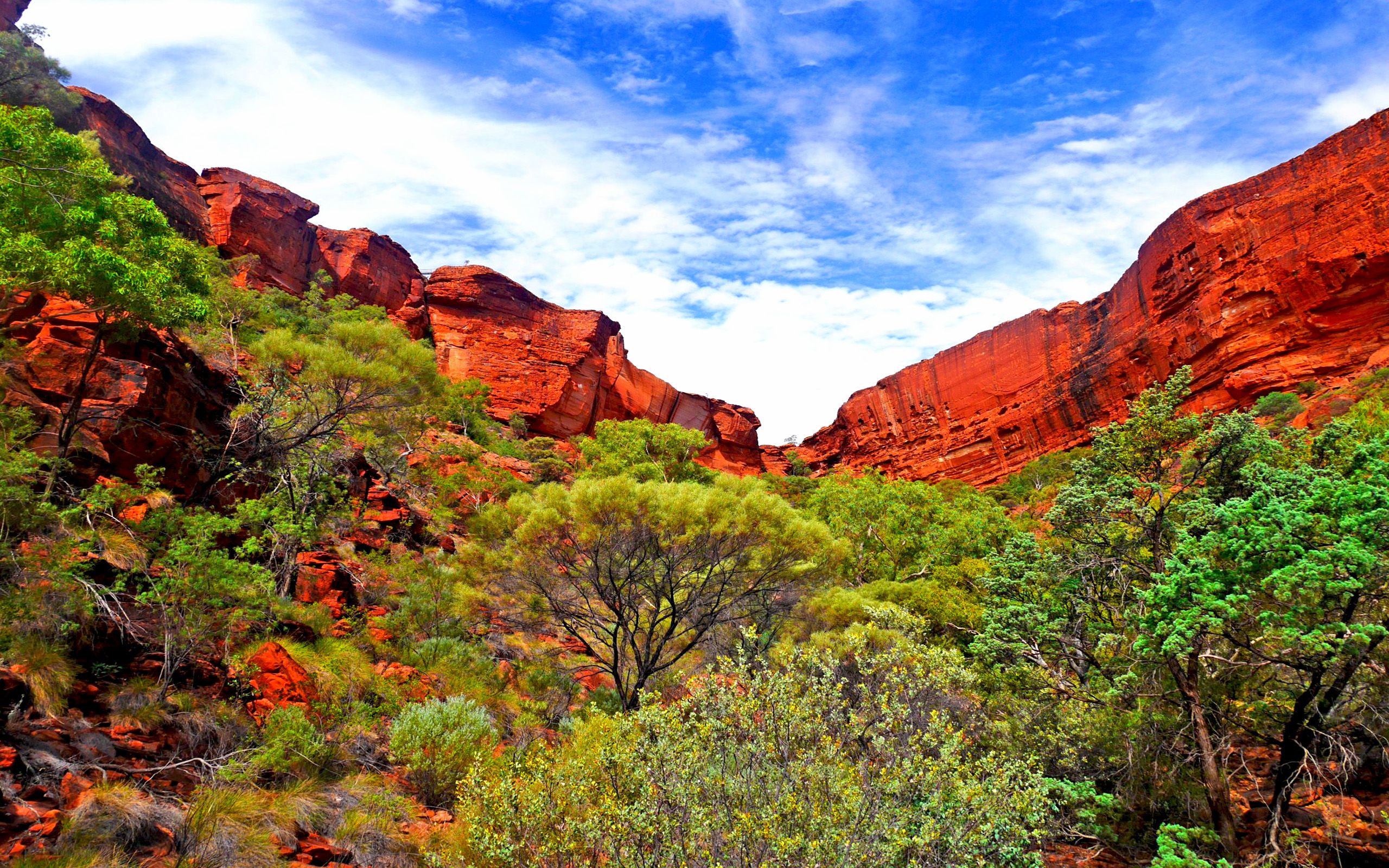 1 Kings Canyon National Park HD Wallpapers