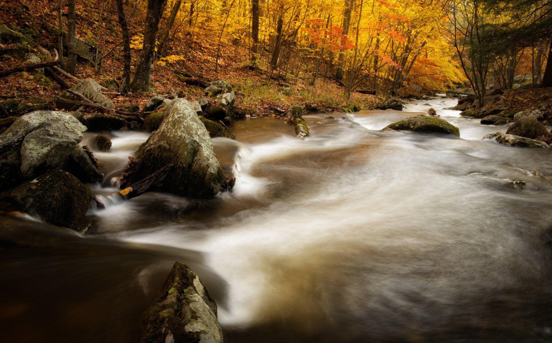 At Home in the Connecticut River Valley