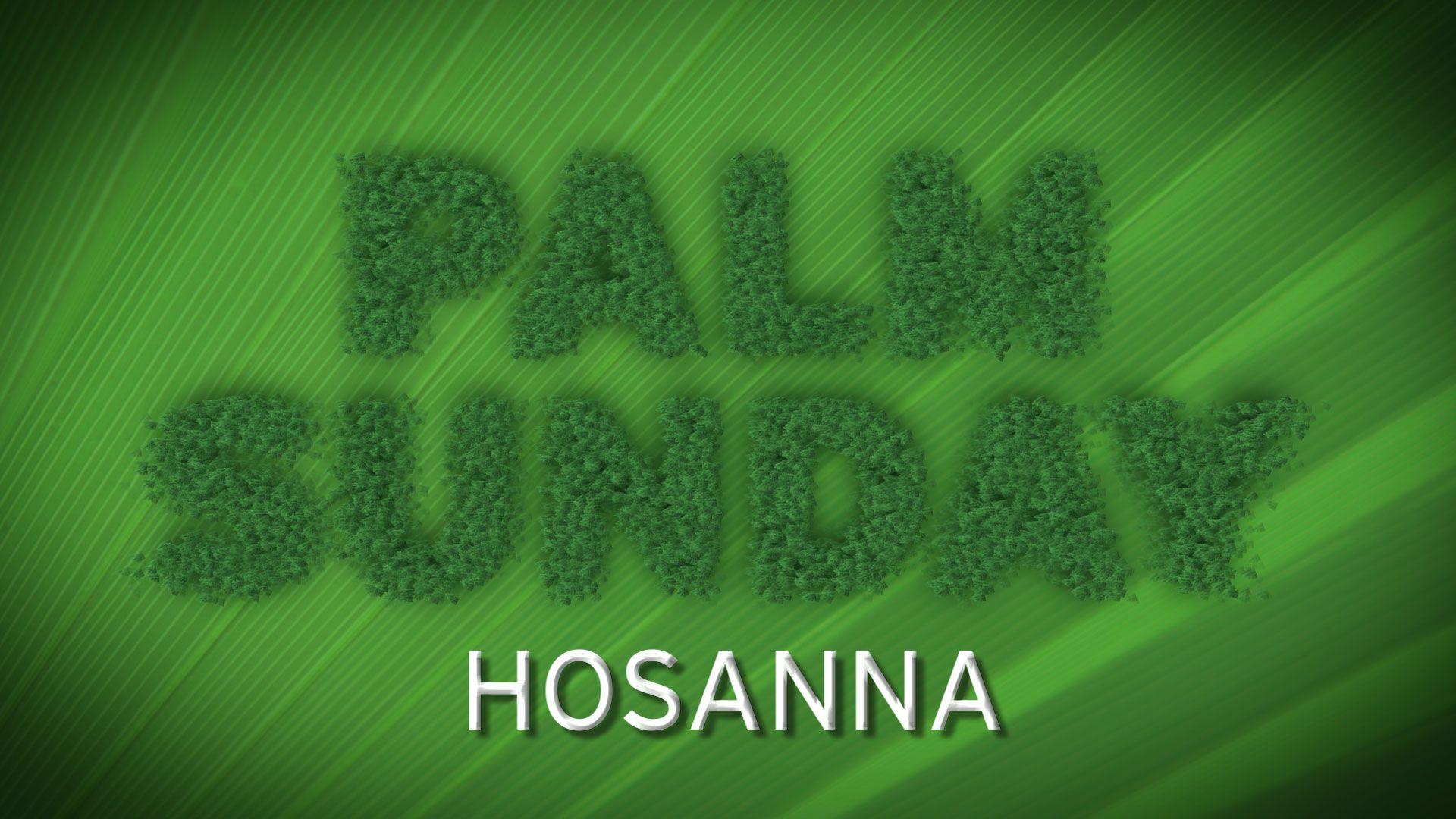 Palm Sunday Hosanna King Jesus Free Hd Wallpapers