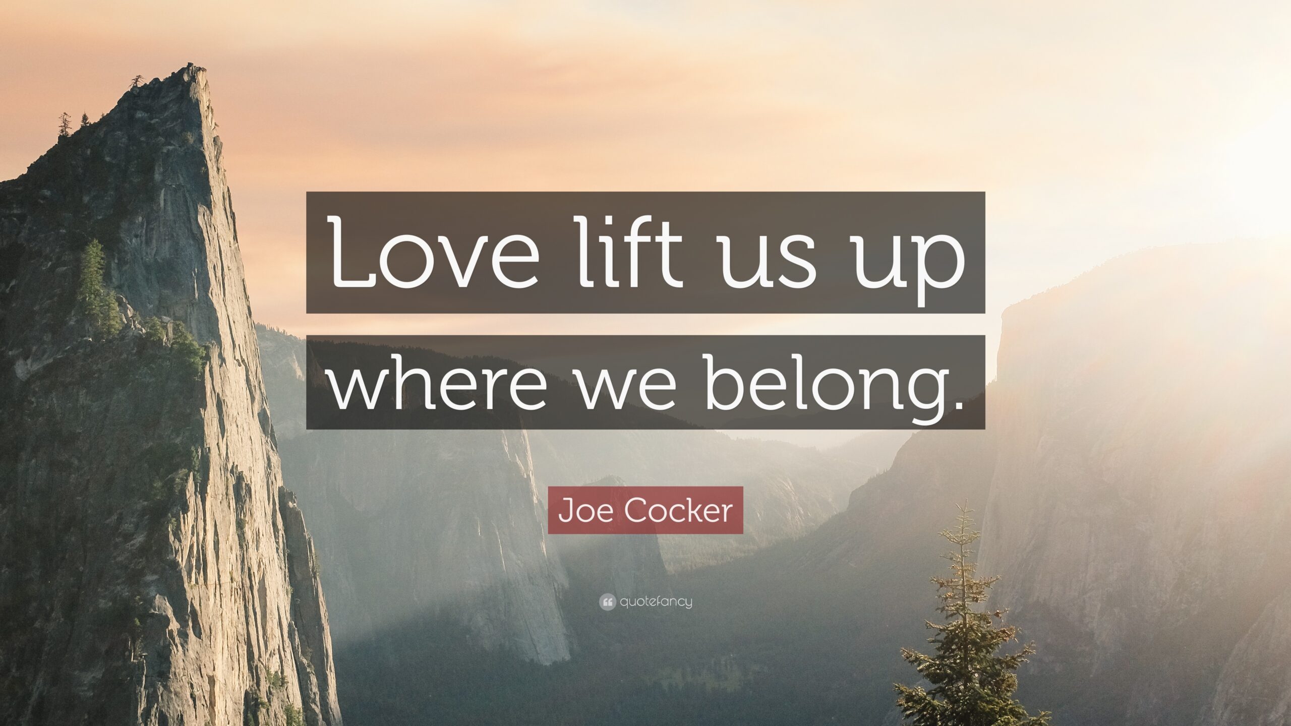 Joe Cocker Quotes