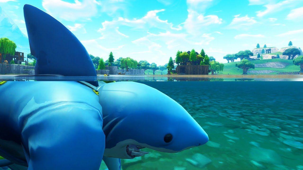 Fortnite Epic Shark