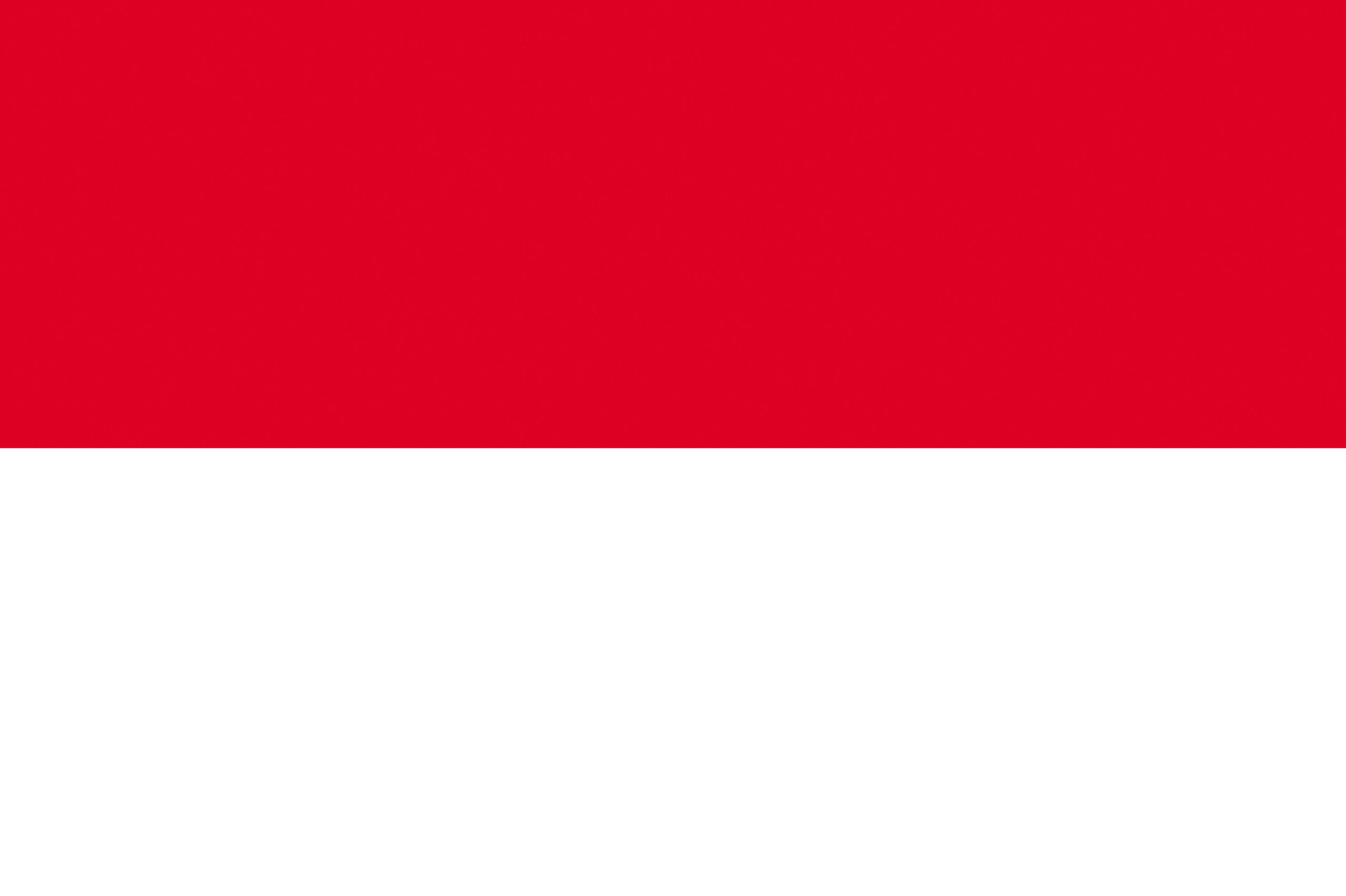 Indonesia Flag Stripes