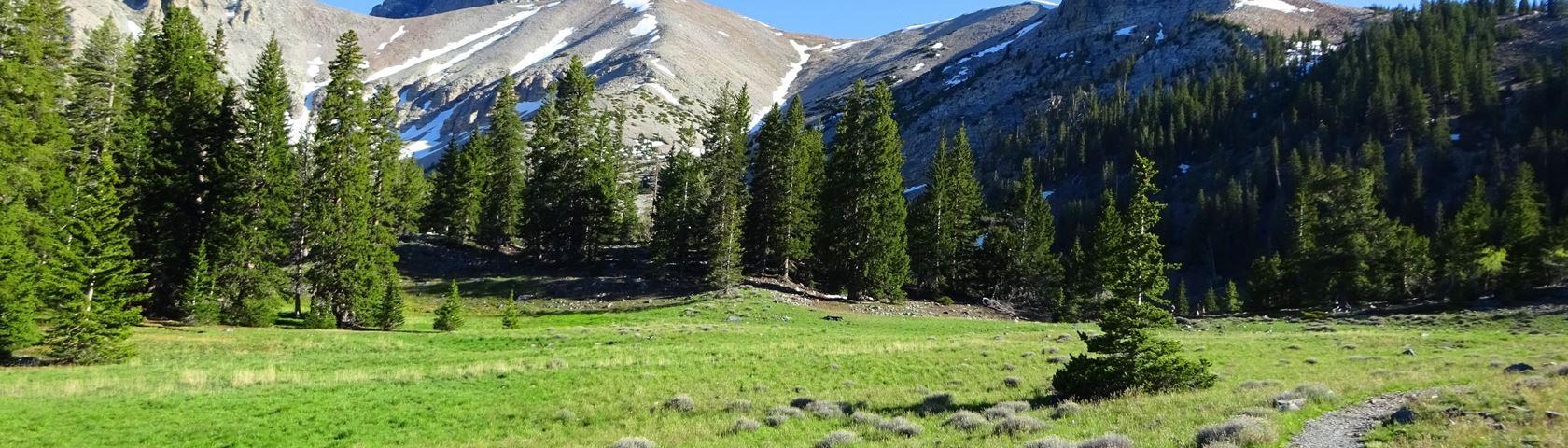 Great Basin National Park • Image • WallpaperFusion by Binary