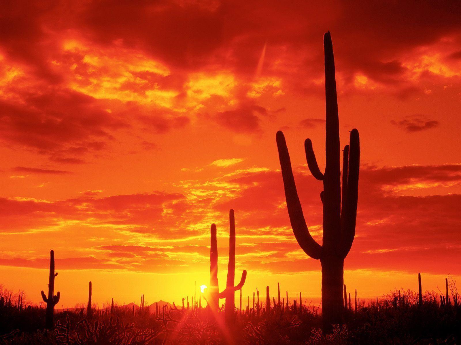 Arizona Sunset Wallpapers Hd Backgrounds 9 HD Wallpapers