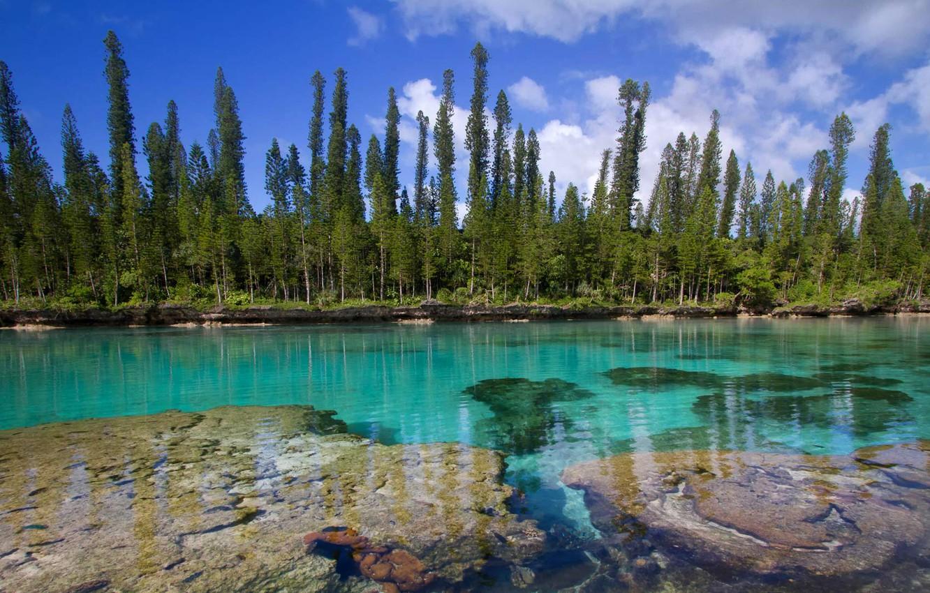 Wallpapers The Pacific ocean, New Caledonia, Isle of pines image for