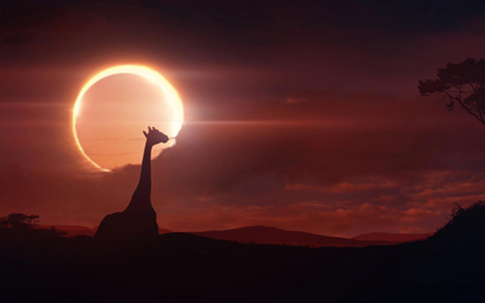 Solar Eclipse Widescreen HD Wallpapers