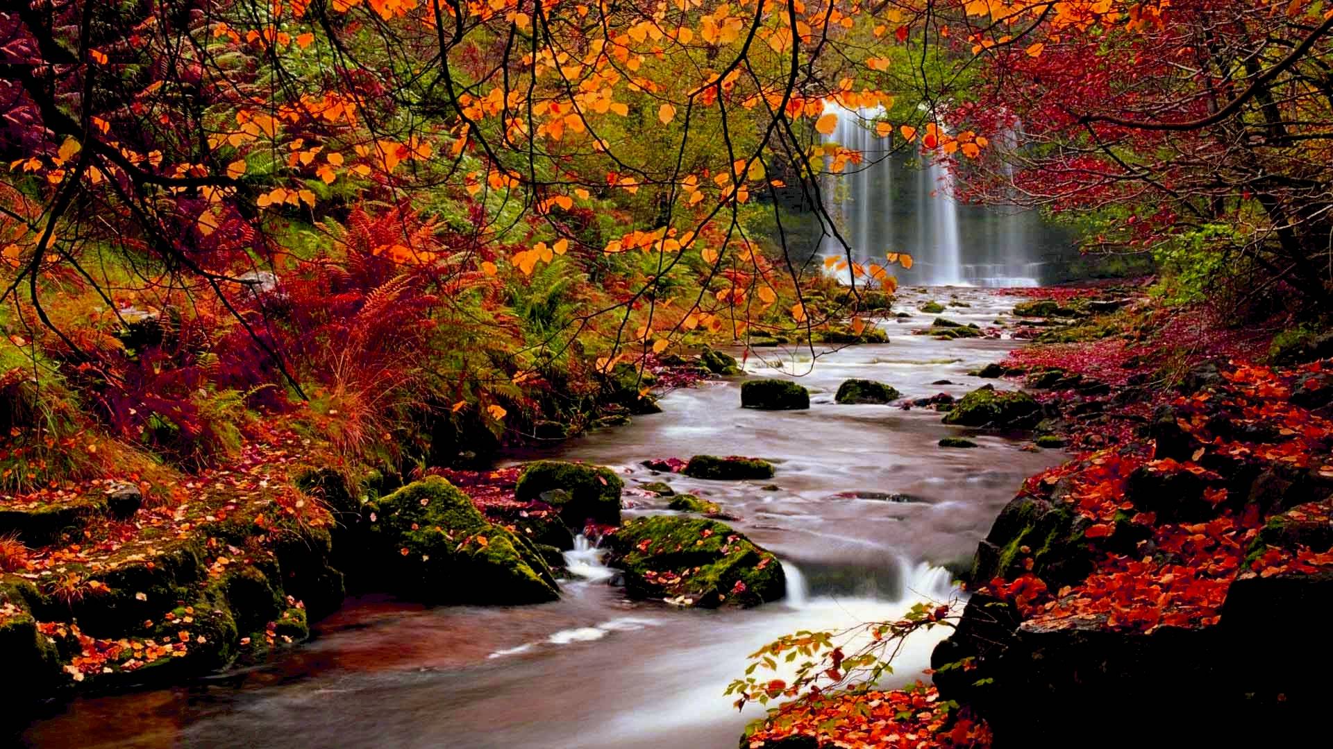 Fall HD Wallpapers 1080p · Fall Wallpapers HD