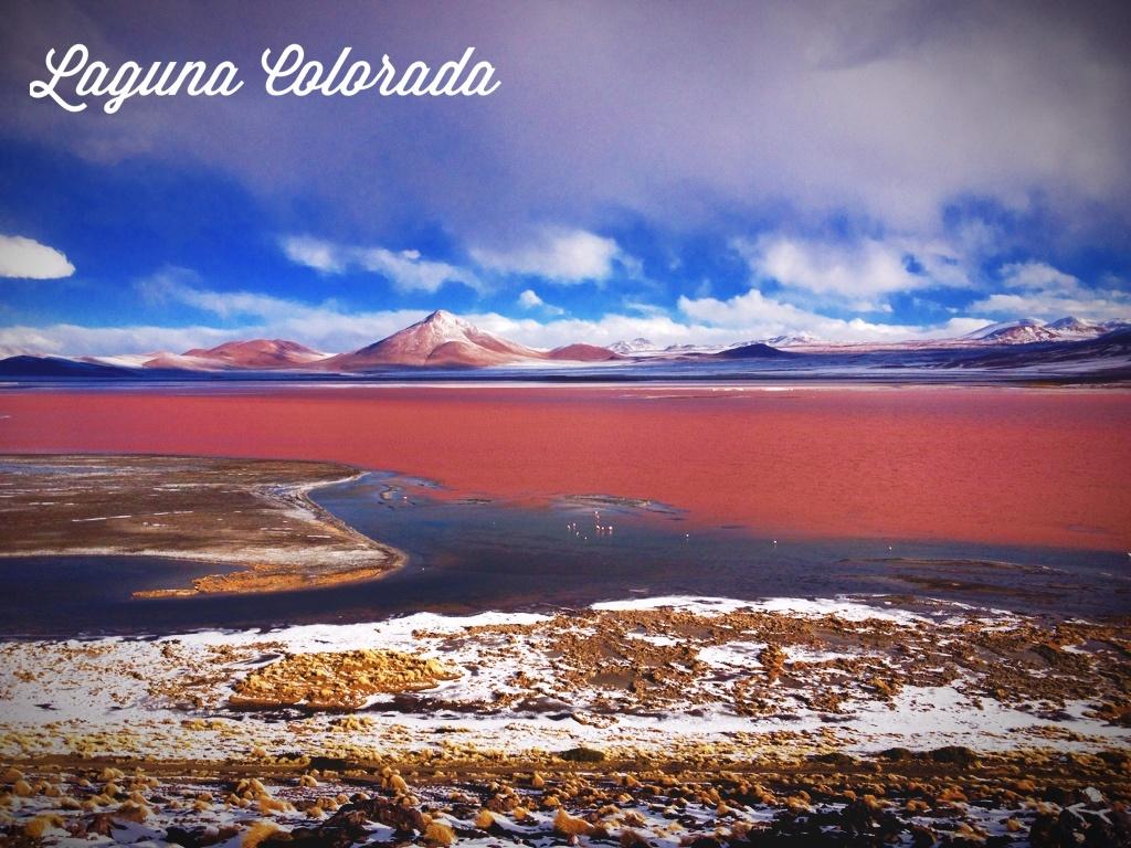 Laguna Colorada Reviews