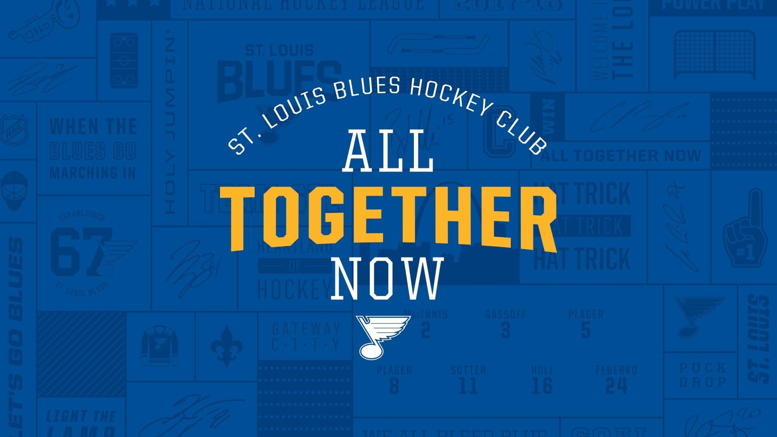 10 Most Popular St Louis Blues Wallpapers FULL HD 1920×1080 For PC