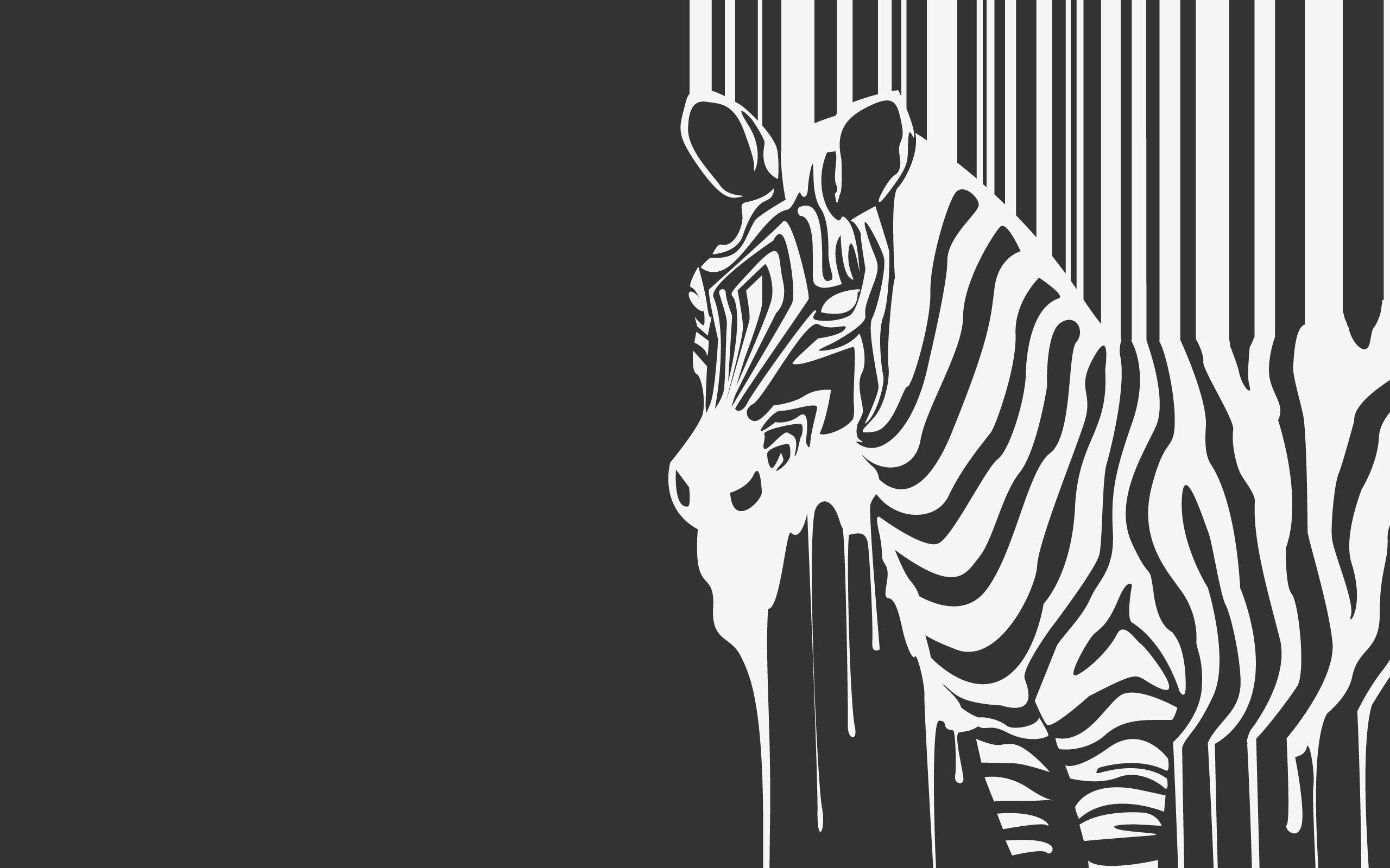 Zebra Wallpapers Downloads 17911