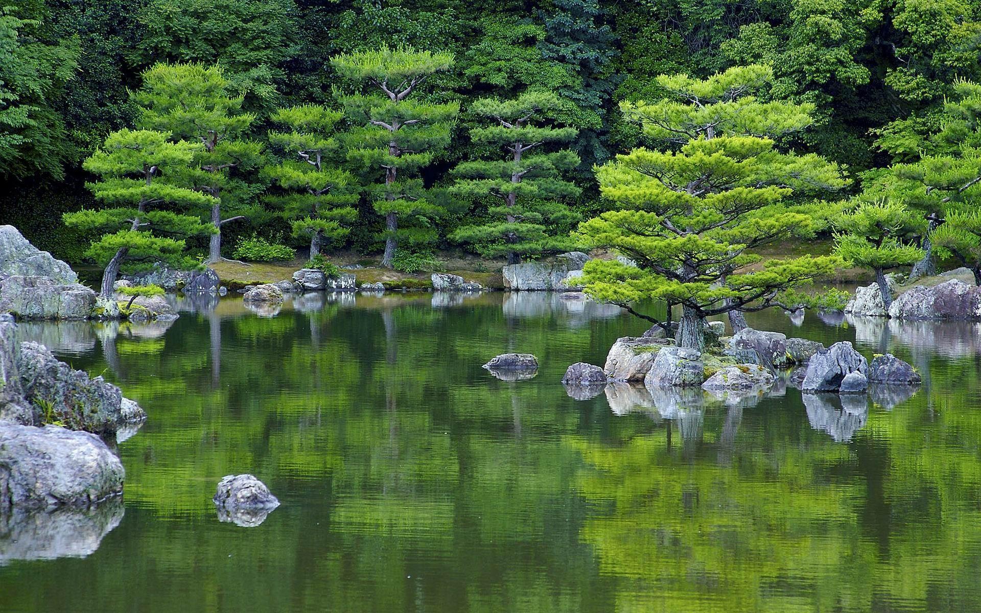 Garden Kyoto