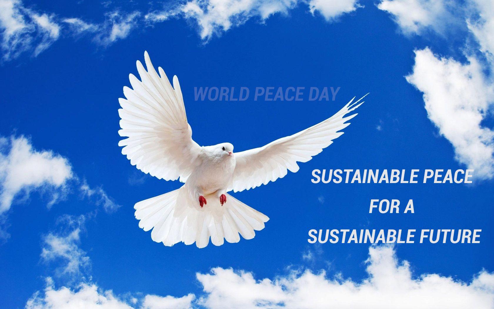 International Day of Peace Wallpapers 10