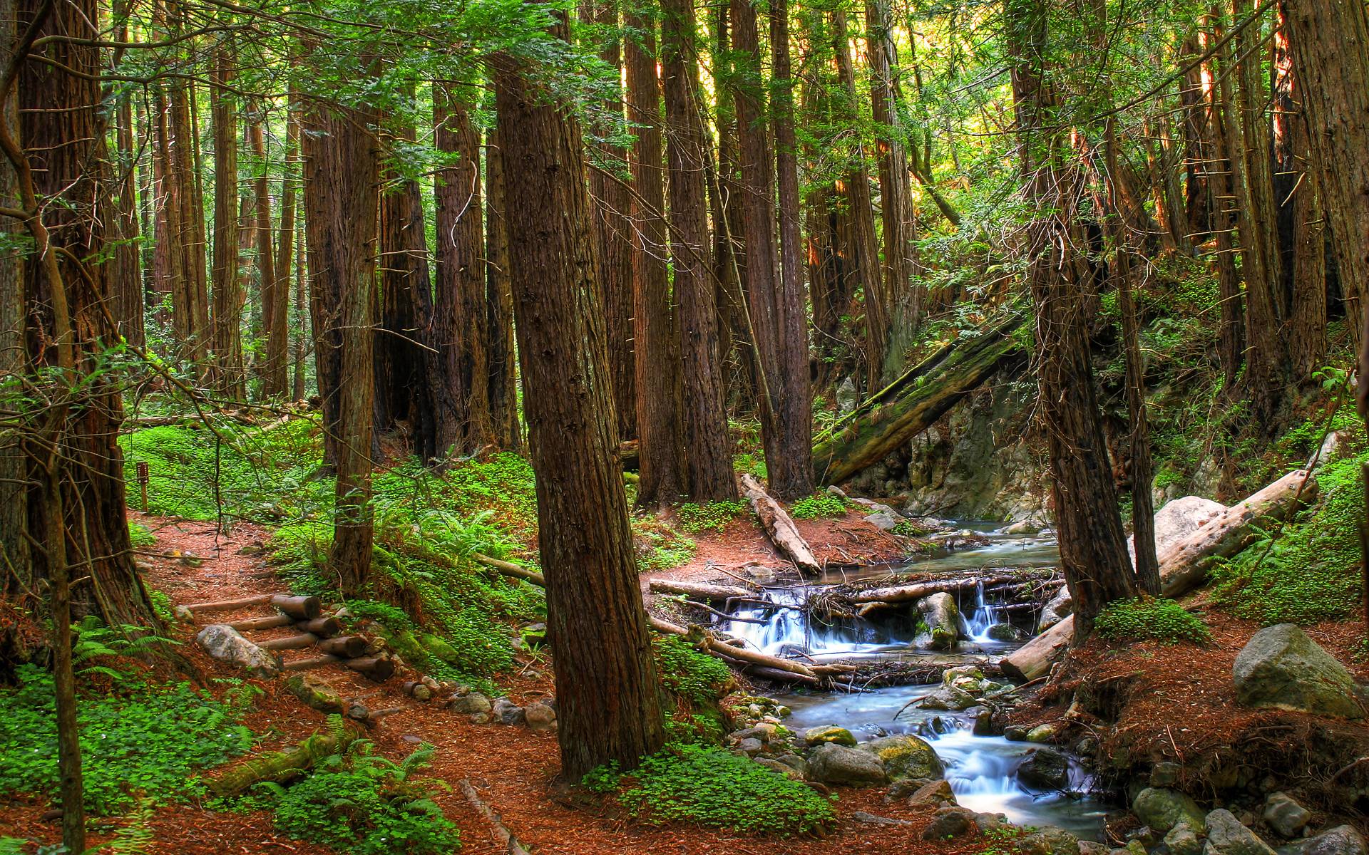 Limekilns, Big Sur, CA by tch